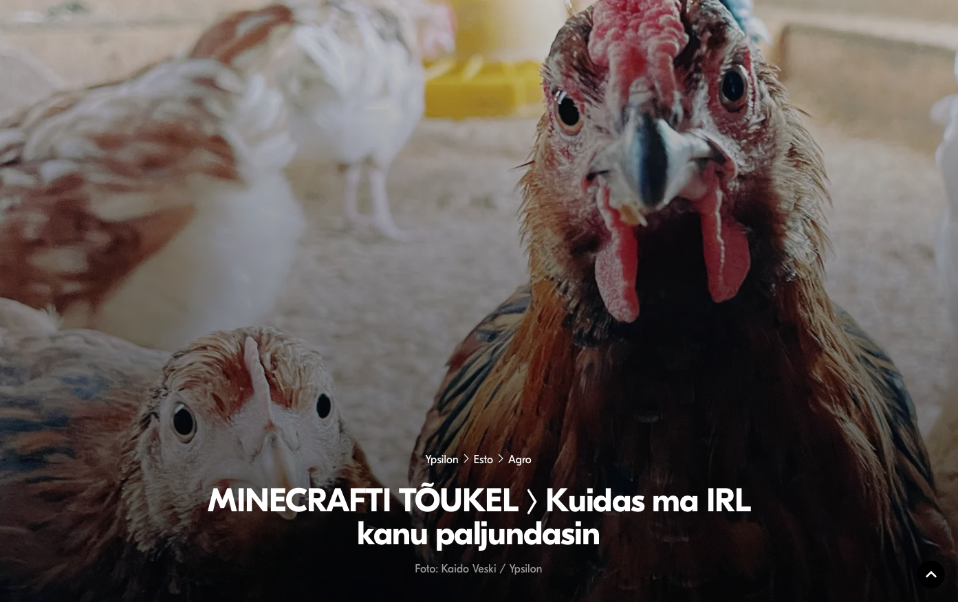Kuidas ma esimest korda kanapoegi inkubeerisin
